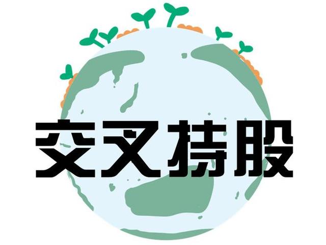 交叉持股安排设计(交叉持股怎么计算持股比例)信阳市